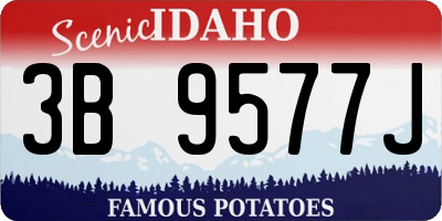 ID license plate 3B9577J