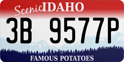 ID license plate 3B9577P