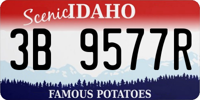 ID license plate 3B9577R