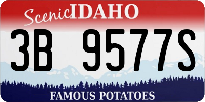 ID license plate 3B9577S