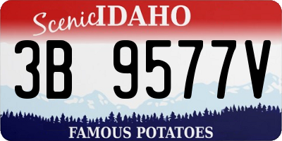 ID license plate 3B9577V