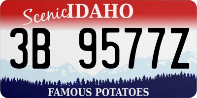 ID license plate 3B9577Z