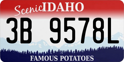ID license plate 3B9578L