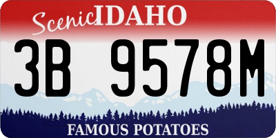 ID license plate 3B9578M