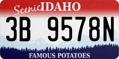 ID license plate 3B9578N
