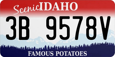 ID license plate 3B9578V