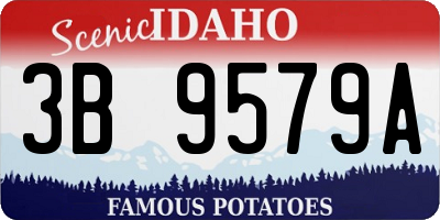 ID license plate 3B9579A