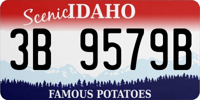 ID license plate 3B9579B
