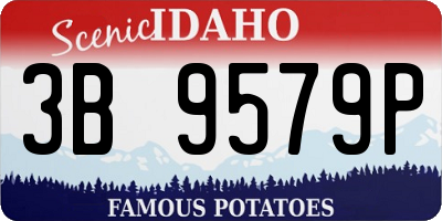 ID license plate 3B9579P