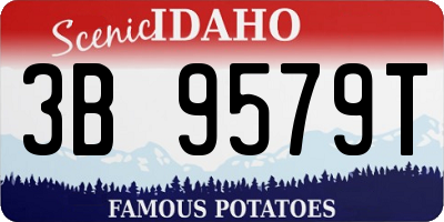 ID license plate 3B9579T