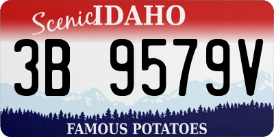 ID license plate 3B9579V