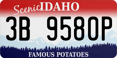 ID license plate 3B9580P
