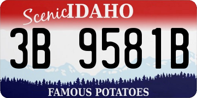 ID license plate 3B9581B