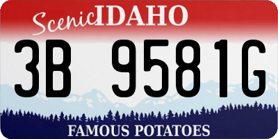 ID license plate 3B9581G
