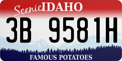 ID license plate 3B9581H