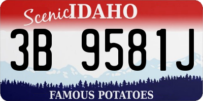 ID license plate 3B9581J