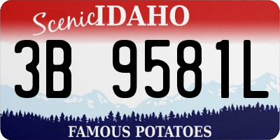 ID license plate 3B9581L