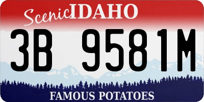 ID license plate 3B9581M
