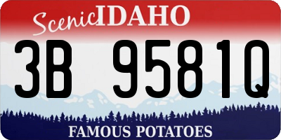 ID license plate 3B9581Q