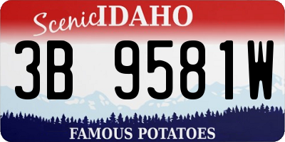 ID license plate 3B9581W