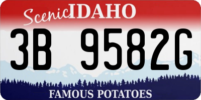 ID license plate 3B9582G