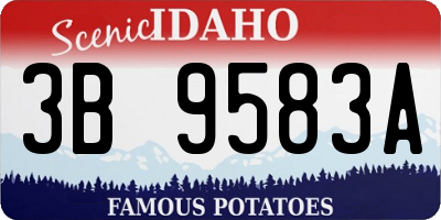ID license plate 3B9583A