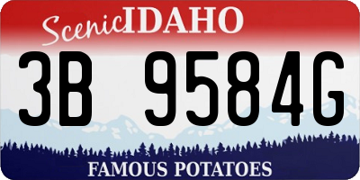 ID license plate 3B9584G