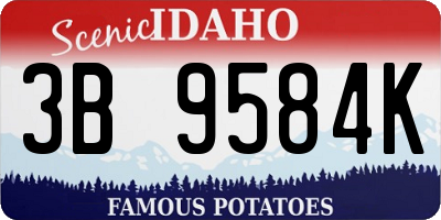 ID license plate 3B9584K