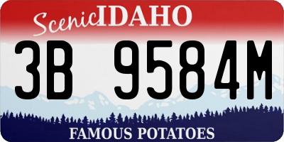 ID license plate 3B9584M
