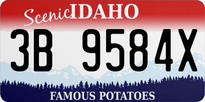 ID license plate 3B9584X