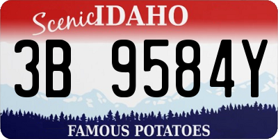 ID license plate 3B9584Y