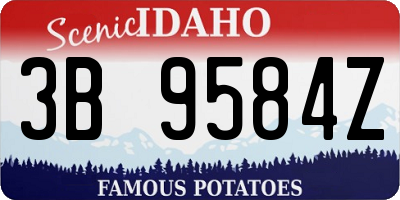 ID license plate 3B9584Z