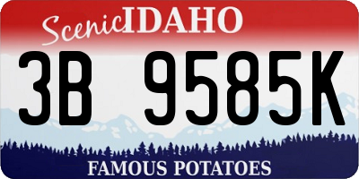 ID license plate 3B9585K