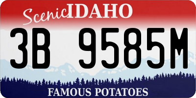 ID license plate 3B9585M