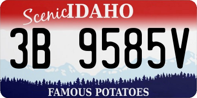ID license plate 3B9585V