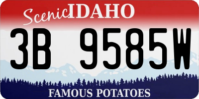 ID license plate 3B9585W