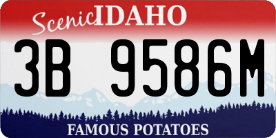 ID license plate 3B9586M