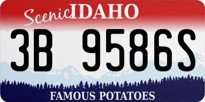 ID license plate 3B9586S