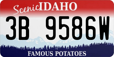ID license plate 3B9586W