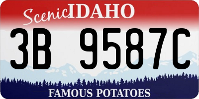 ID license plate 3B9587C