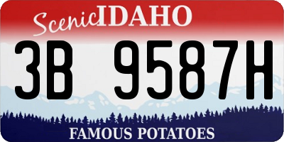 ID license plate 3B9587H