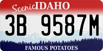 ID license plate 3B9587M