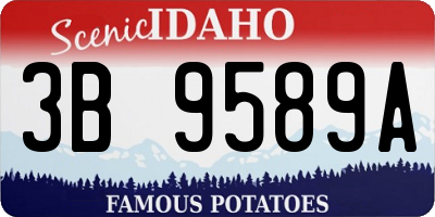 ID license plate 3B9589A
