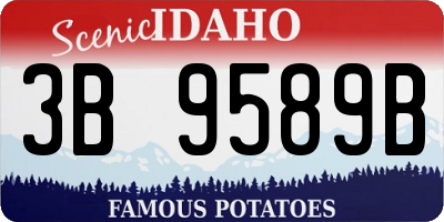 ID license plate 3B9589B