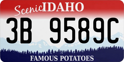 ID license plate 3B9589C
