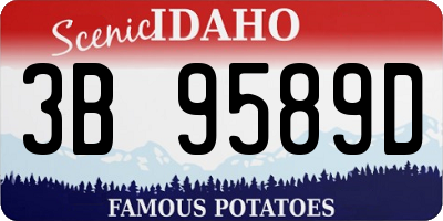 ID license plate 3B9589D