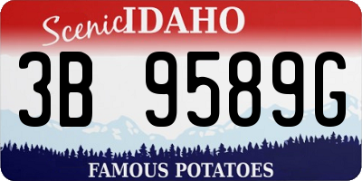 ID license plate 3B9589G