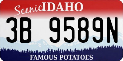 ID license plate 3B9589N