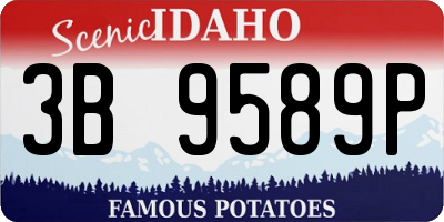 ID license plate 3B9589P