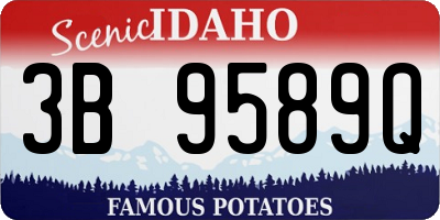 ID license plate 3B9589Q